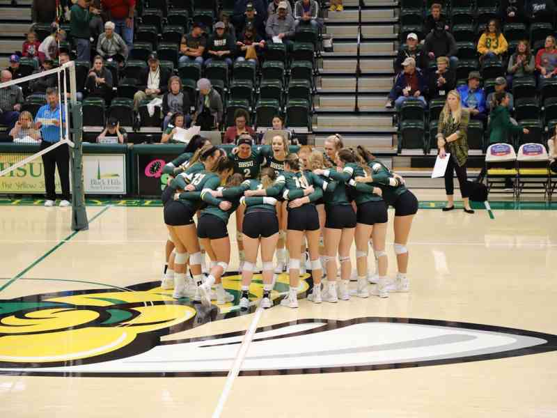 volleyball, huddle, team, spearfish, south dakota, black hills state university