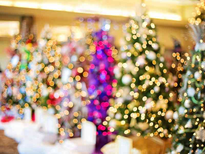 Black Hills, Spearfish, Zonta, Festival of trees