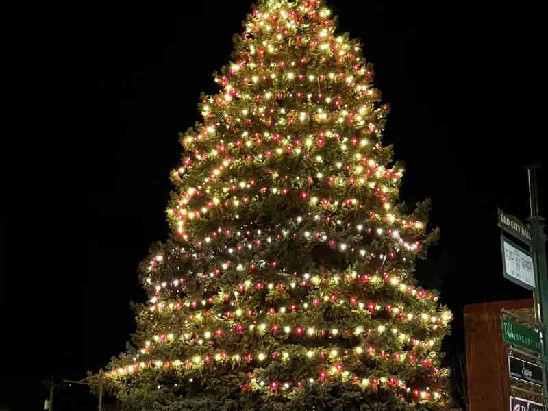 Black Hills, Spearfish, SDBA, Christmas Tree Lighting