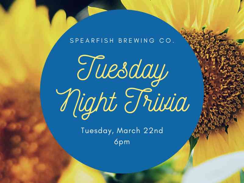 Black Hills, Spearfish, Spearfish Brewing, Trivia Night