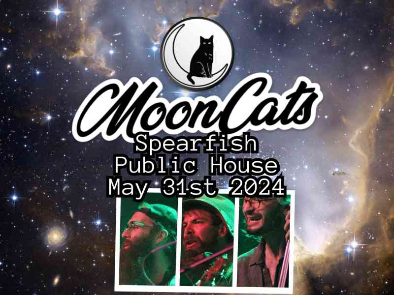 Black Hills, Spearfish, MoonCats, Spearfish Public House, Live Performance