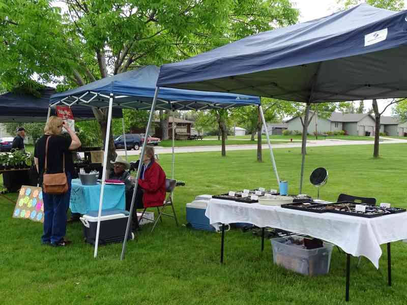 Black Hills, Spearfish, South Dakota, Neighbors 2 Neighbors, Farmer's Market, Local Vendors, Family-Friendly Event, Foods