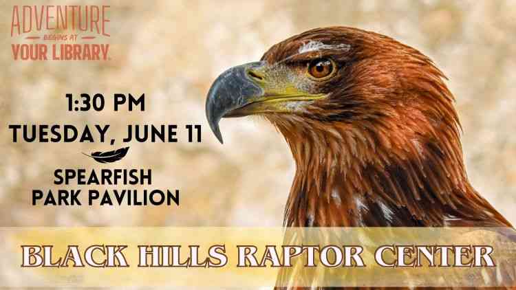 Black Hills, Spearfish, South Dakota, Black Hills Raptors, Grace Balloch Memorial Library, Family Friendly, Education
