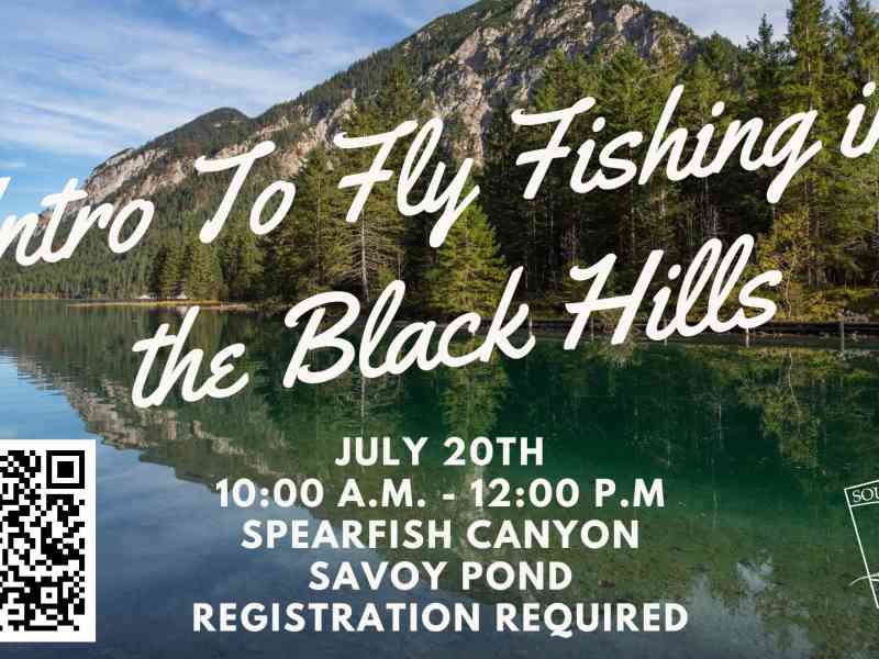 Fly Fishing, Black Hills, South Dakota, Spearfish