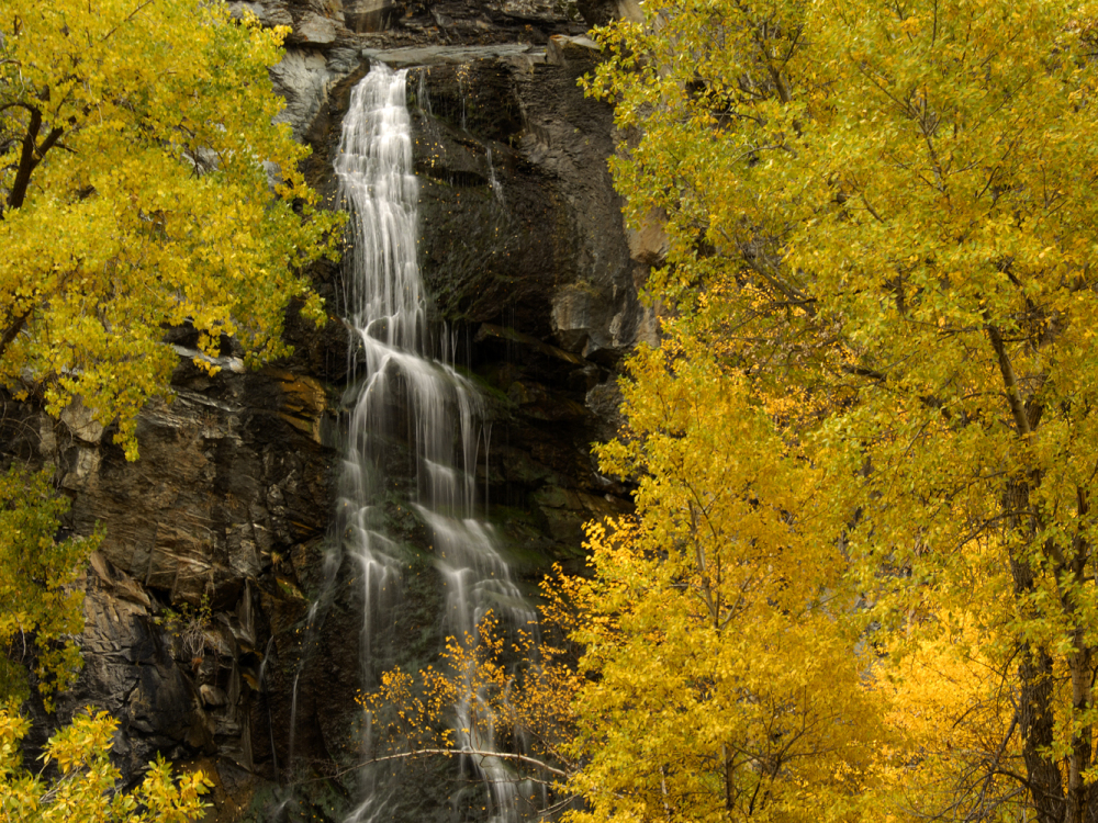 Bridal Veil Falls during Color Peak