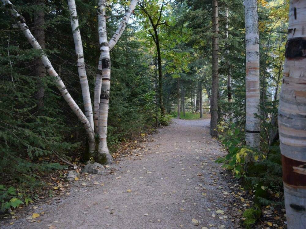 The trail to Spearfish Falls