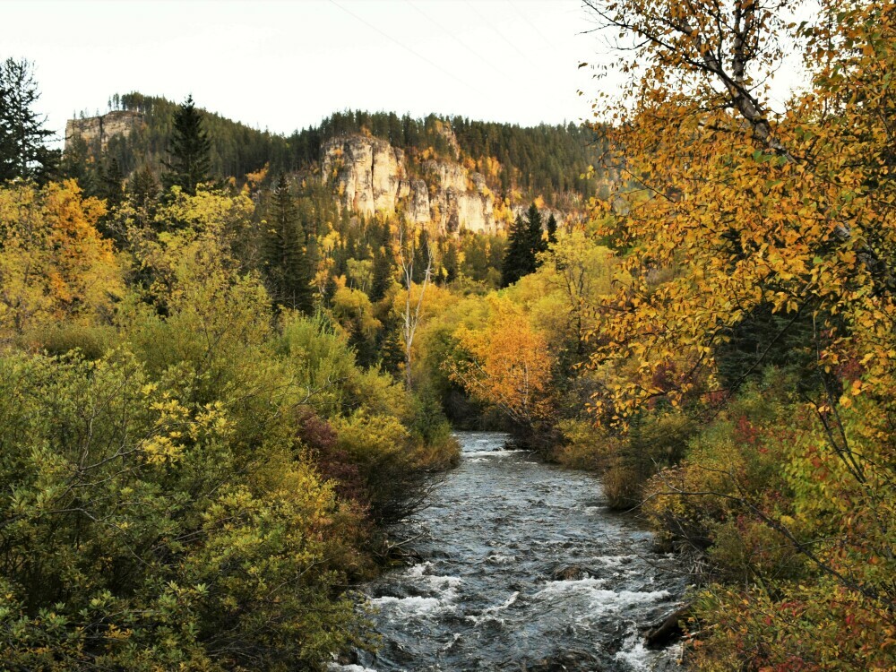 The canyon is perfect for fall photography.