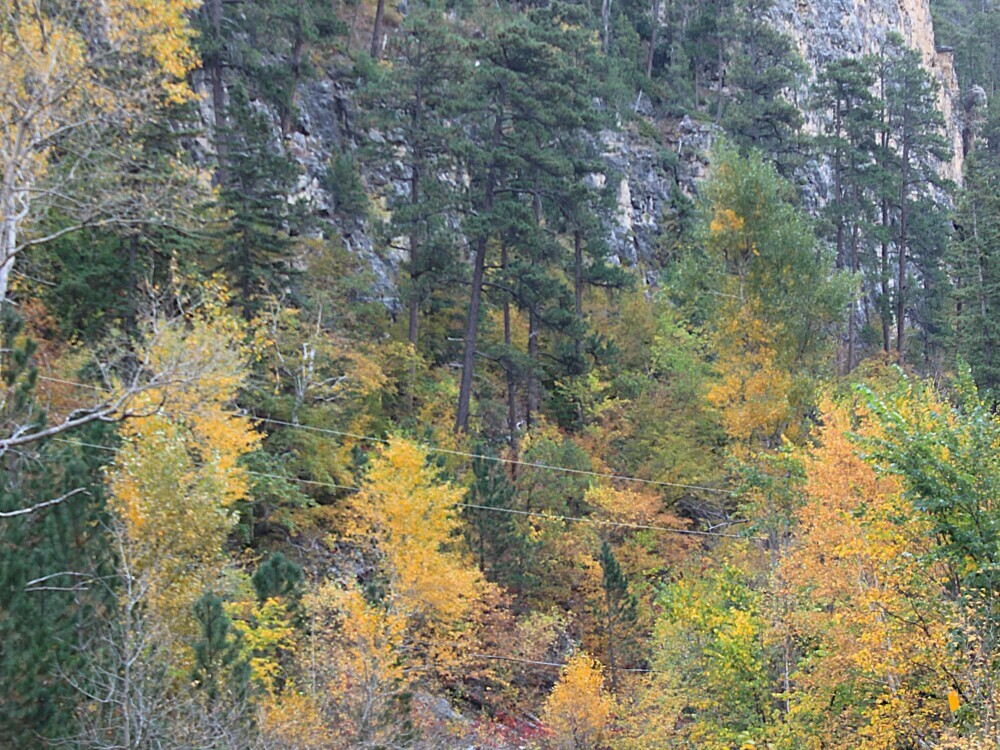 Spearfish Creek and Savoy cliff