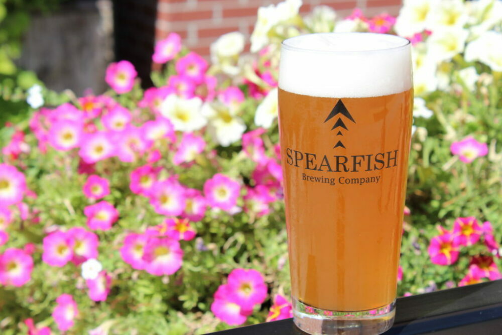 Spearfish Brewery Termes Beer
